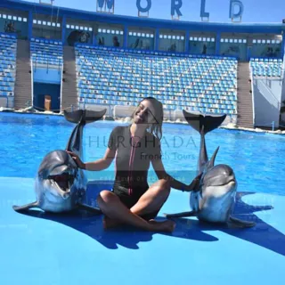 Photos Dauphins Bassin