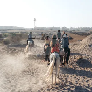 Balade à Cheval VIP