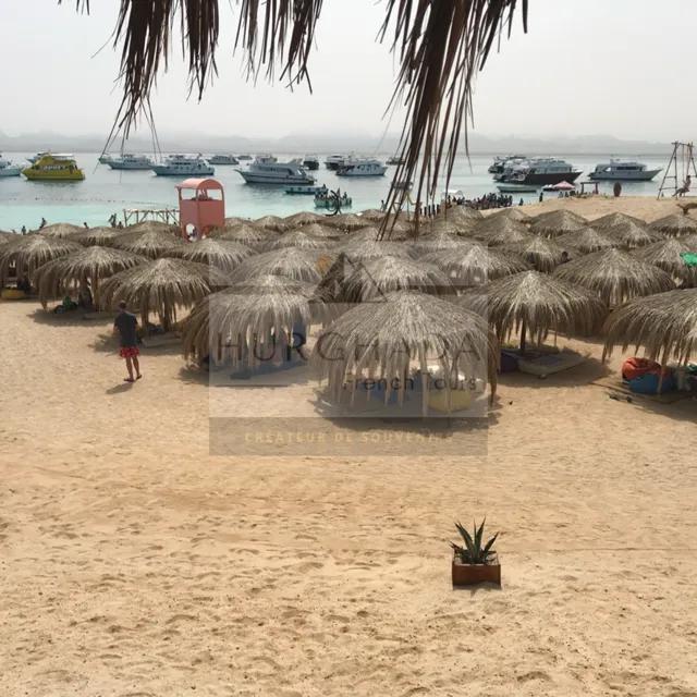 Paradise Island — photo 7