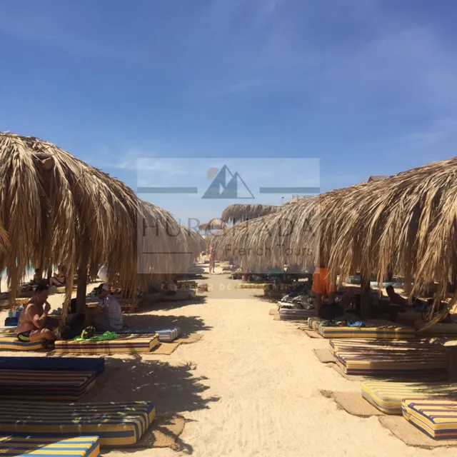 Paradise Island — photo 10