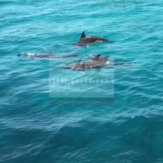 Location Speedboat VIP — photo 7