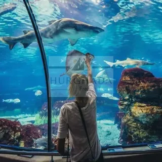 Grand Aquarium — photo 5