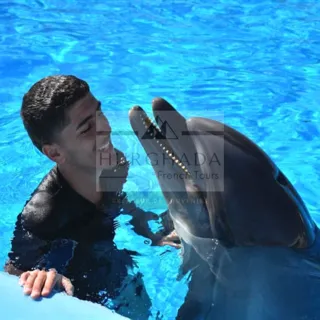 Nage Dauphins en Bassin — photo 2