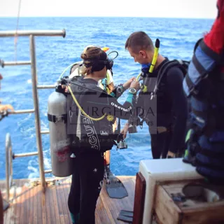 Plongée Sous-Marine — photo 11