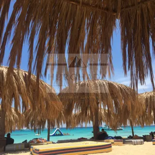 Mahmya Island — photo 12