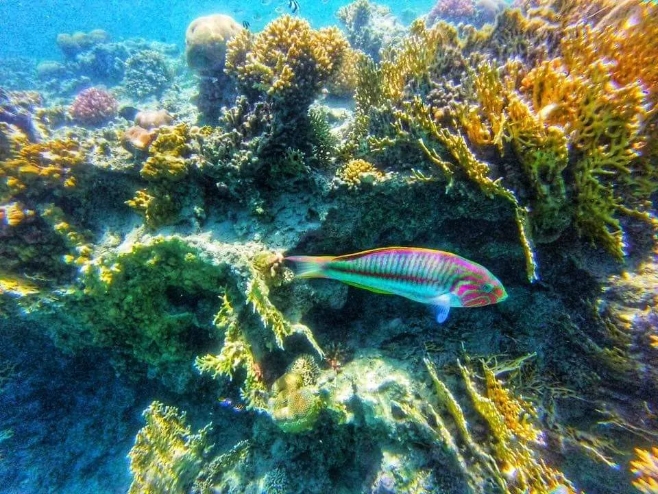 Sharm El Naga Plage