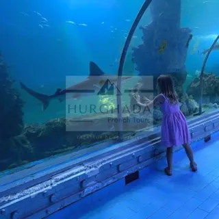 Grand Aquarium — photo 2