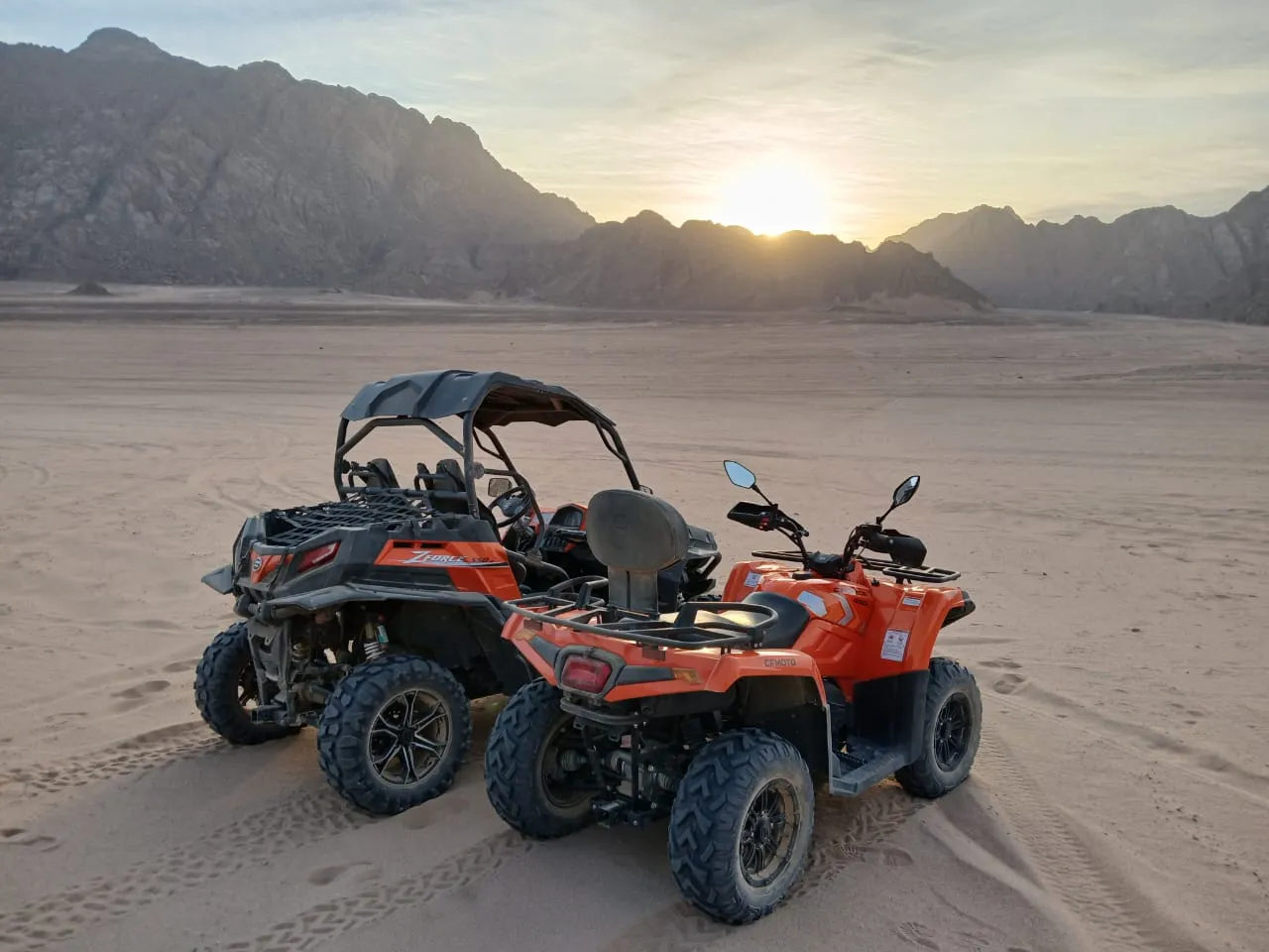 Safari BUGGY & Show