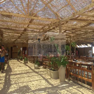 Mahmya Island — photo 13